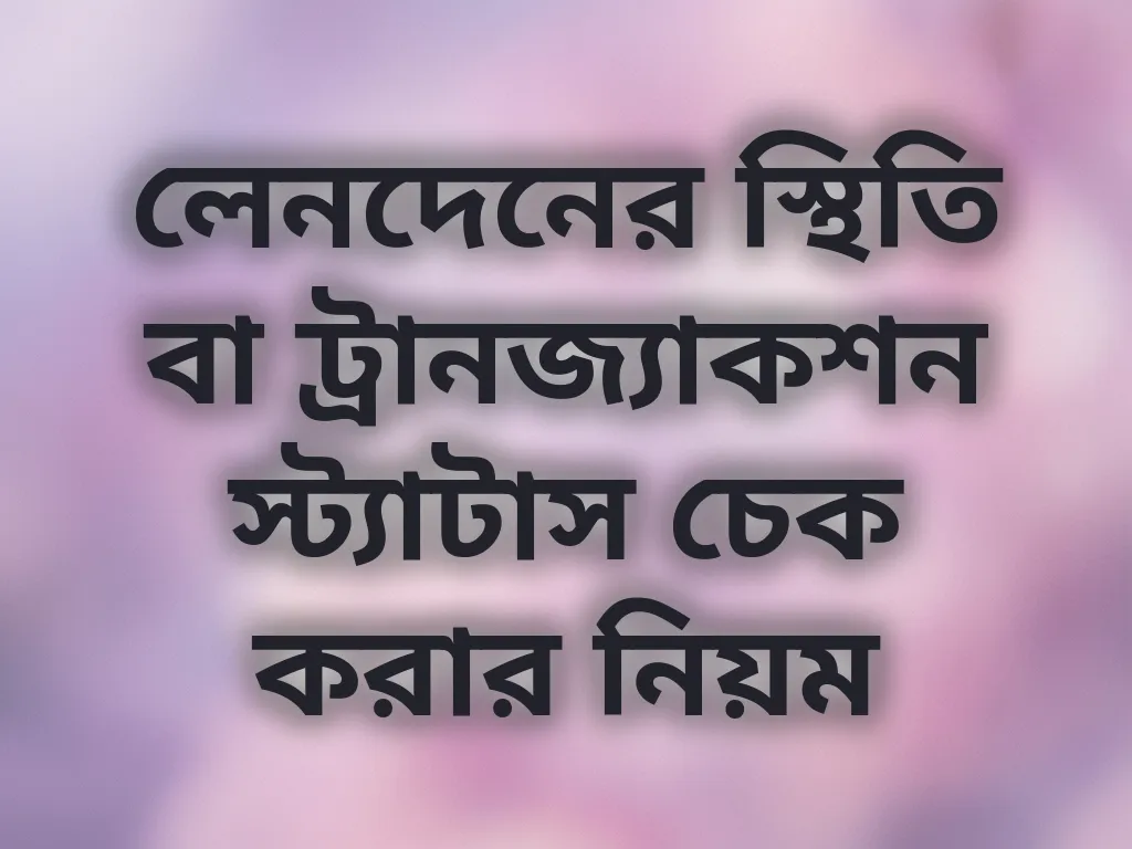 লেনদেনের স্থিতি বা ট্রানজ্যাকশন স্ট্যাটাস চেক করার নিয়ম